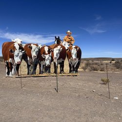 Giant Marfa Mural - Little Reata Division - Wyatt Ranches - 2.16.2025