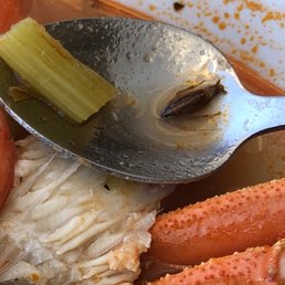 Cockroach was pregnant and dead.