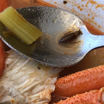Mi Pueblo Cafe - Cockroach was pregnant and dead. - Seafood Near Me - Oxnard, California