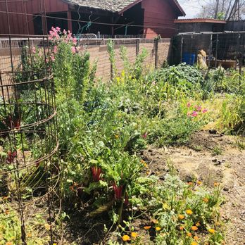 Moonwater Farm - Garden - Attraction Farms Near Me - Compton, California