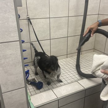 Pet Supplies Plus - Camarillo - Pet Groomers Near Me - Camarillo, California Pet Supplies Plus - Camarillo - Pet Groomers Near Me - Camarillo, California