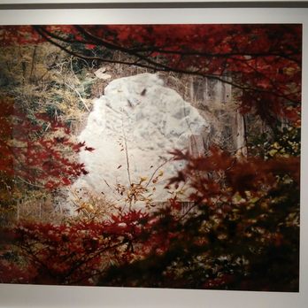 Laurence Miller Gallery - Magnificent - Art Galleries Near Me