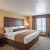 Cobblestone Hotel & Suites - Appleton International Airport gift card