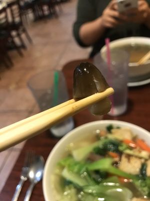 Pho A Dong Restaurant by null