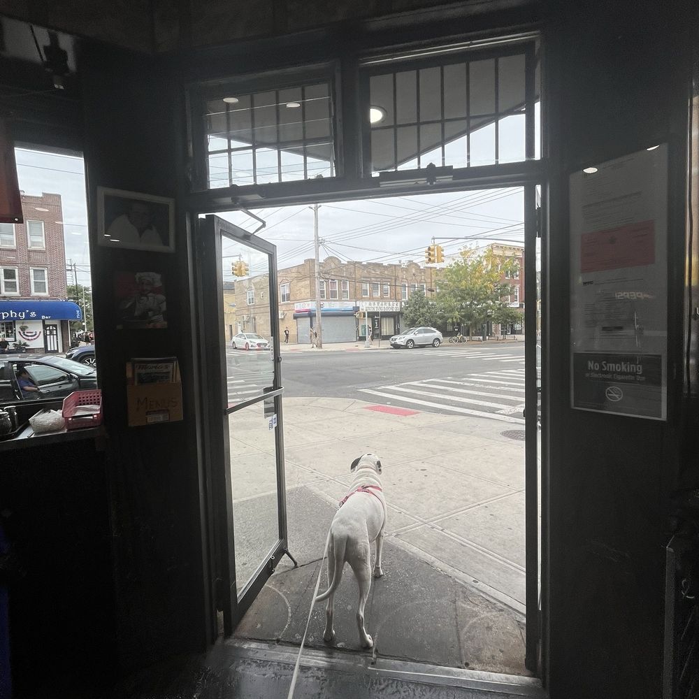Maria's Pizza - Door - Pizza Near Me - Brooklyn, New York Maria's Pizza - Door - Pizza Near Me - Brooklyn, New York