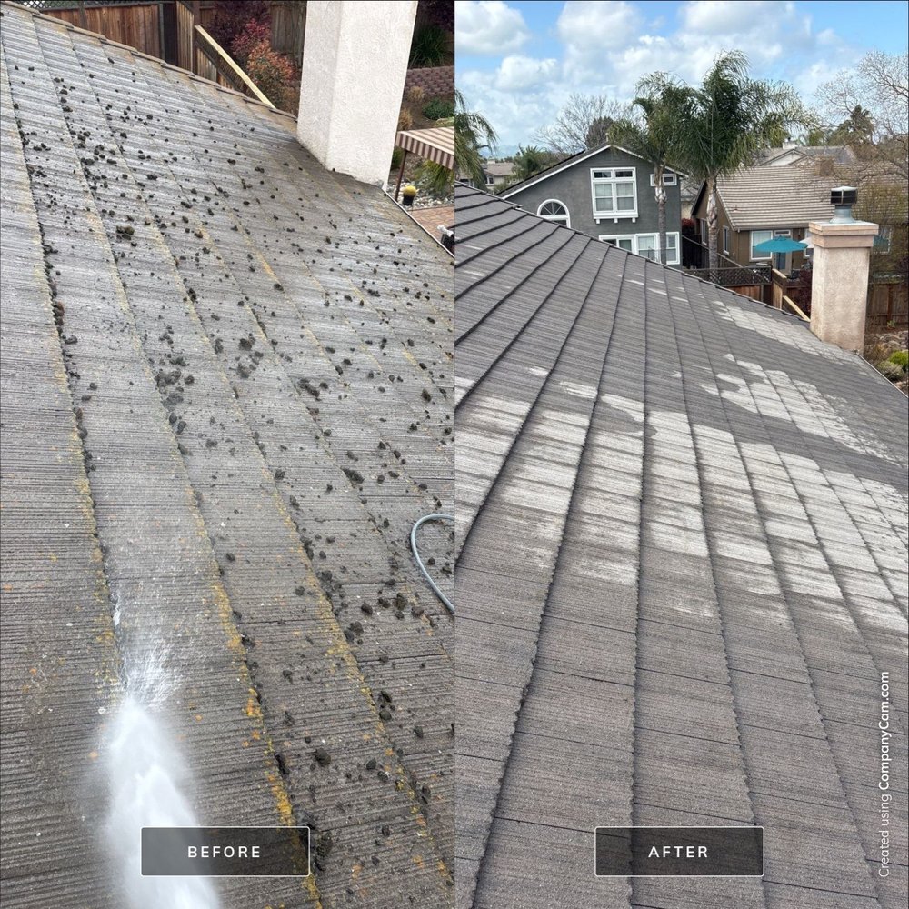 Slide of Moss X Roof Cleaning and Repair
