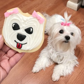 Silver Rose Bakery - Totally Adorable! - Custom Cakes Near Me - Phoenix, Arizona Silver Rose Bakery - Totally Adorable! - Custom Cakes Near Me - Phoenix, Arizona