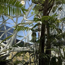 The Spheres Discovery At The Understory