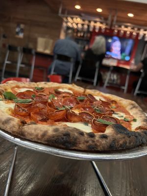 Pizzeria Vetri by null