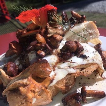 Darwin's Cafe - Chanterelle toast!!!!! Omg - Vegetarian Near Me - Tofino, British Columbia