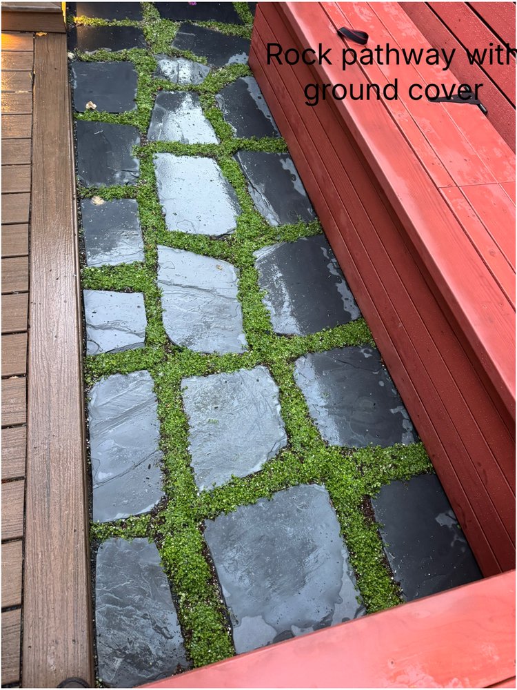 Lopez Landscaping - tree service in San Francisco, CA