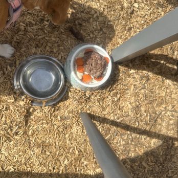 Bloom Carneros - Dog meal - New American Near Me - Sonoma, California