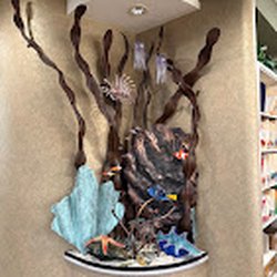 Sean Liu Orthodontics-Des Moines Orthodontics