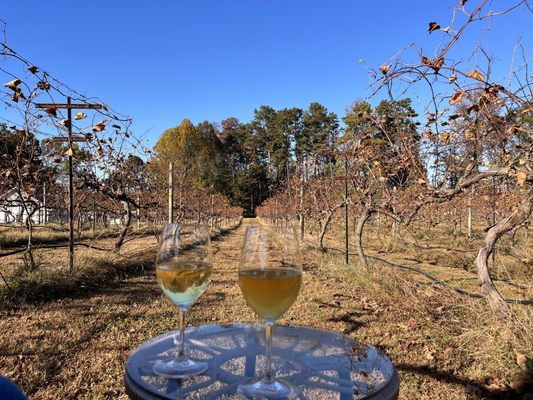 Cloudland Vineyards and Winery by null