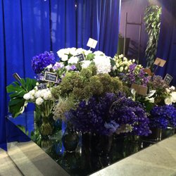 Blumen Marsano