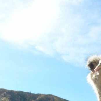 Quail Run Ranch - Tours Near Me - Lake Hughes, California Quail Run Ranch - Tours Near Me - Lake Hughes, California