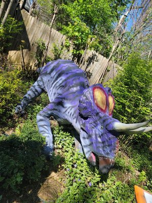 Backyard Terrors and Dinosaur Park by null