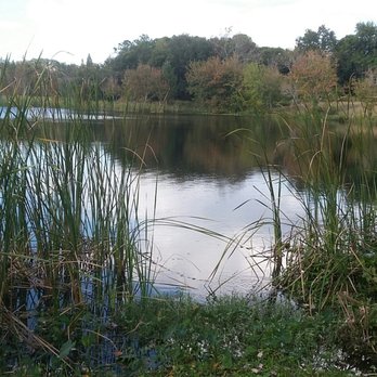 Takomah Trails Park - Lovely - Parks Near Me - Tampa, Florida Takomah Trails Park - Lovely - Parks Near Me - Tampa, Florida