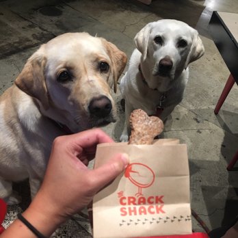 The Crack Shack - We had way too much dog treats! - Chicken Shop Near Me - Costa Mesa, California The Crack Shack - We had way too much dog treats! - Chicken Shop Near Me - Costa Mesa, California