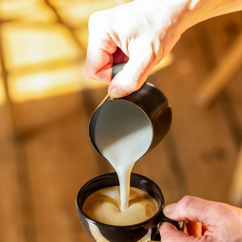 YogaCafé Mindful Life - Cappuccino - Cafes Near Me - Berlin, BE YogaCafé Mindful Life - Cappuccino - Cafes Near Me - Berlin, BE