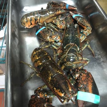 Maine Lobster Now - 64 Photos & 141 Reviews - Seafood Markets - 58 City