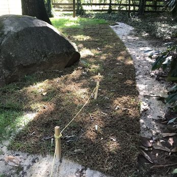 Fertile Green Solutions - More sod laid by Fertile Green Landscaping on August 14th. - Landscaping Near Me