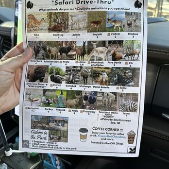 Beavers Bend Safari Park - Animal guide - Zoos Near Me - Broken Bow, Oklahoma