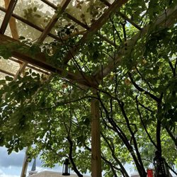 The Porch - Cool patio vibes!