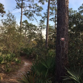 Seminole County-Econ River Wilderness Area - Parks Near Me - Oviedo, Florida Seminole County-Econ River Wilderness Area - Parks Near Me - Oviedo, Florida