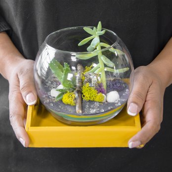Pinnovate - Terrarium Workshops! - Venues & Event Spaces Near Me - Calgary, Alberta Pinnovate - Terrarium Workshops! - Venues & Event Spaces Near Me - Calgary, Alberta