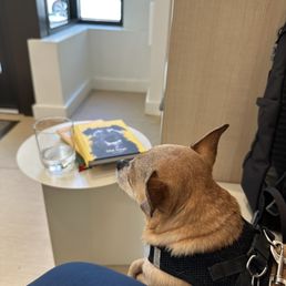 Waiting room Waiting room