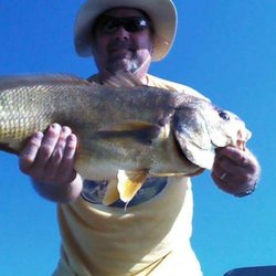 Smith's Bait & Tackle - Nice freshwater drum