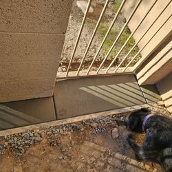 Setcrete Construction - Concrete dog-digging barrier under RV gate and walkthrough gate!