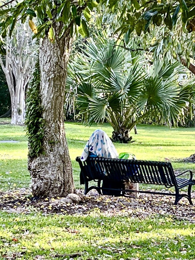 Victoria Park Image