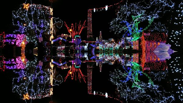 Stanley Park Railway by null