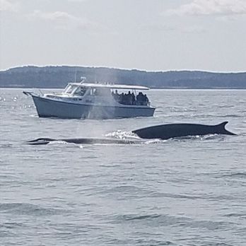Eastport Windjammers - Boat Charters Near Me - Eastport, Maine