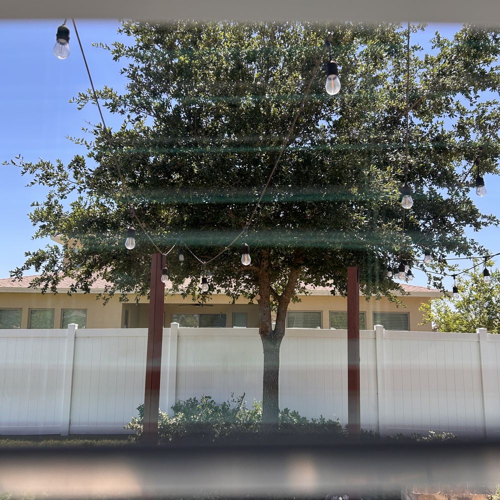 King's Quality Landscaping - Oak tree recently trimmed - Landscaping Near Me King's Quality Landscaping - Oak tree recently trimmed - Landscaping Near Me