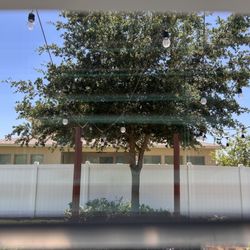 King's Quality Landscaping - Oak tree recently trimmed