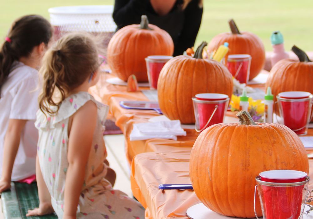 The Art of Love - social services organization in Sun City, AZ