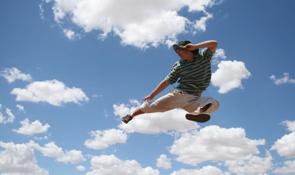 Wang Ho Tae Kwon Do Logo