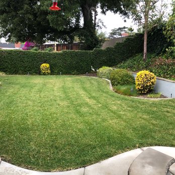 H & E Tree Service - Tree Services Near Me