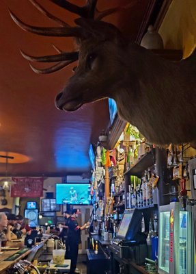 Murphys Historic Hotel by null