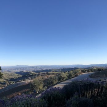 DAOU Vineyards - Wineries Near Me - Paso Robles, California