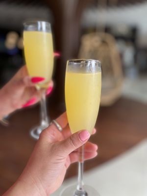 The Reef 28 Hotel & Spa – Luxury Adults Only – All Suites by null