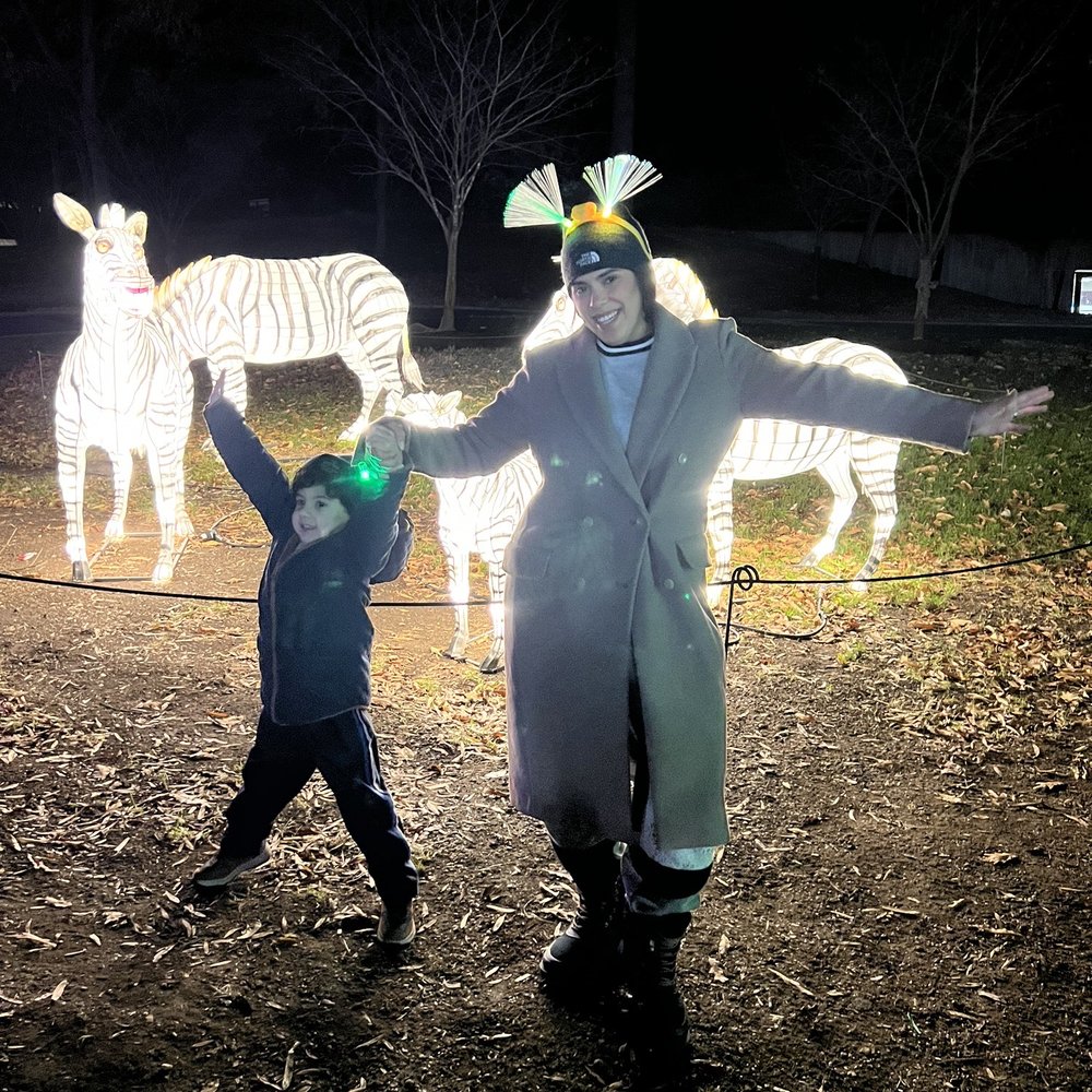 ZooLights - Zoos Near Me - Washington, DC, District of Columbia