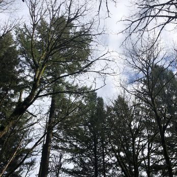 Forest Park - Parks Near Me - Portland, Oregon