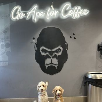 Ape Coffee - Our pups, @winnieandhoneydoodles love Ape Coffee! - Cafes Near Me - Placentia, California