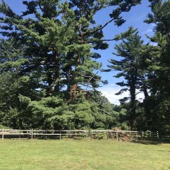 Big River Barn Rescue - Horseback Riding Near Me
