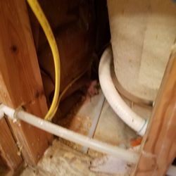 SERVPRO of Wichita Falls - The wet insulation behind the tub Jason refused to remove because tile would be broken, so mold continues to grow instead.