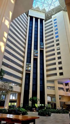 Hyatt Regency Grand Cypress Resort by null